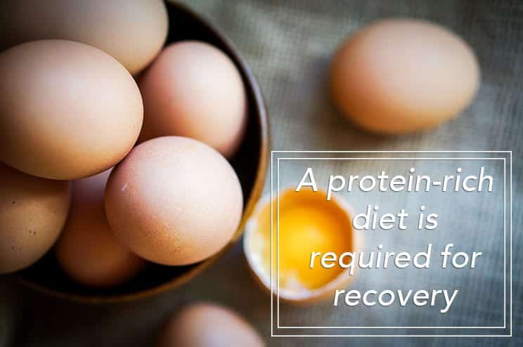 a protein-rich diet including eggs promotes neck surgery recovery