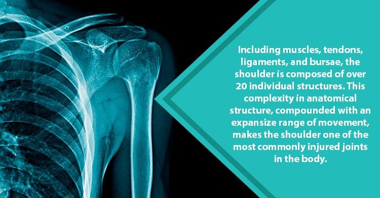 X-ray of the shoulder's complex anatomy