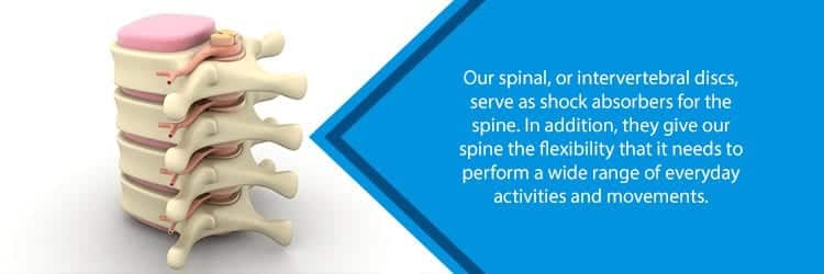 intervertebral discs between vertebrae