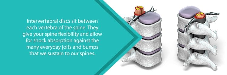 intervertebral discs