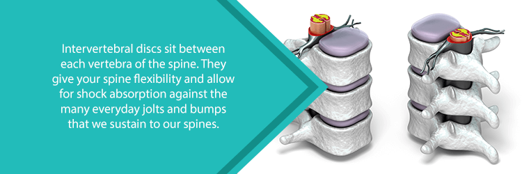 intervertebral discs nj spine orthopedic