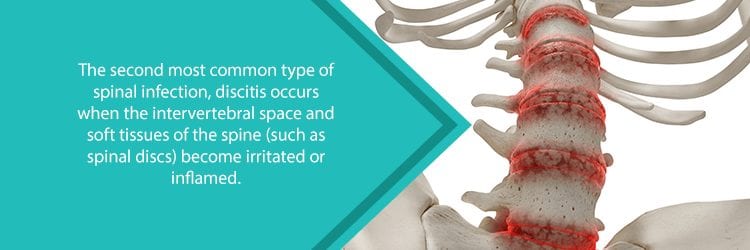 spine with discitis