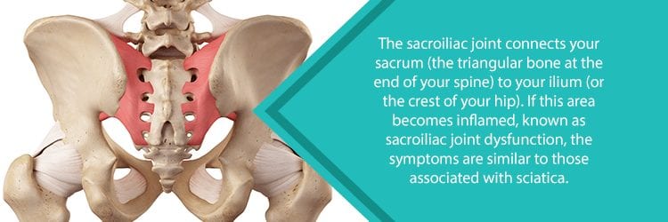 the sacroiliac joint
