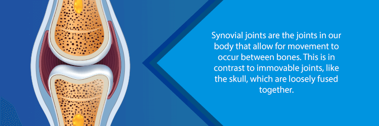synovial joint - knee cap