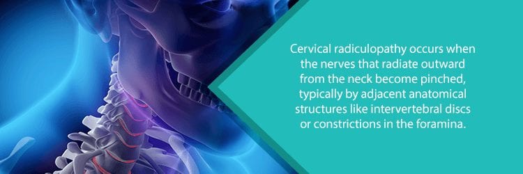 cervical spine