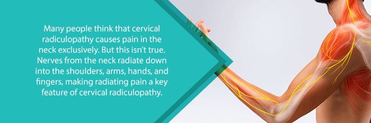 nerves from cervical spine extending down arm