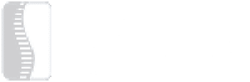 nass white