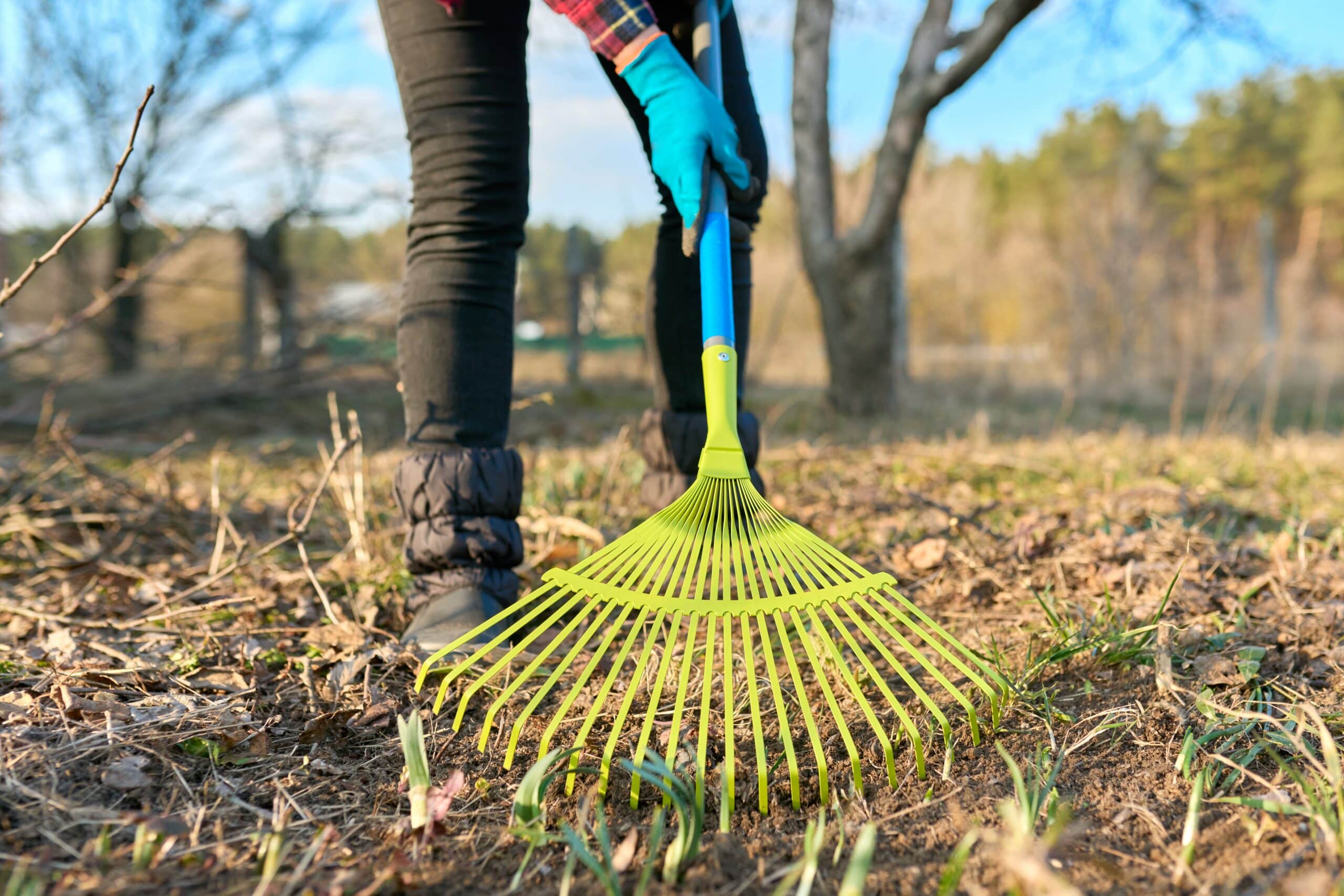 Person raking leaves outdoors, a common cause of back and neck pain injuries